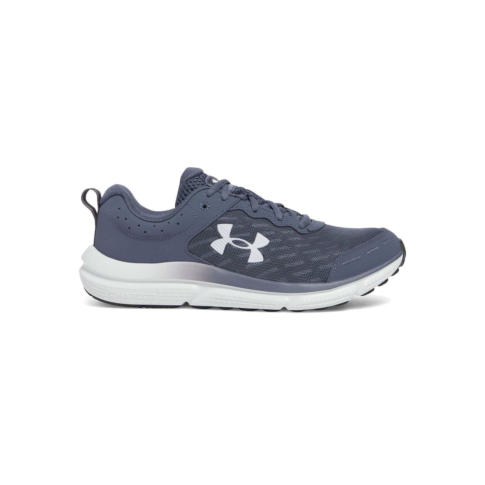 Zapatillas de running Under Armour Charged Assert 10 gris para hombre