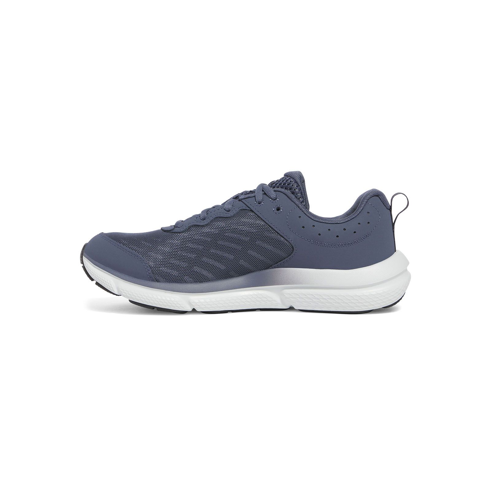 Zapatillas de running Under Armour Charged Assert 10 gris para hombre