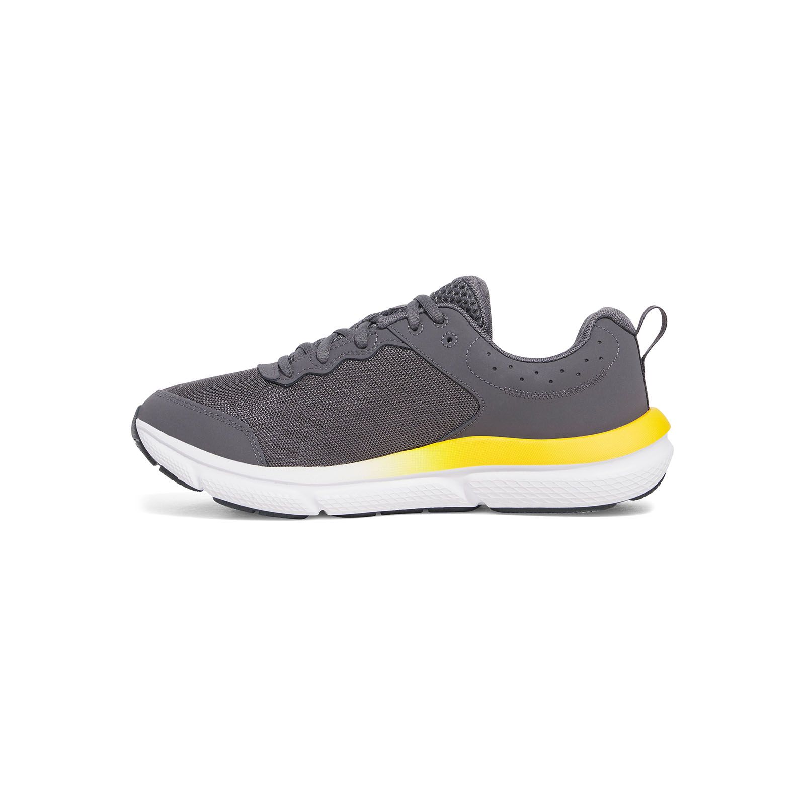Zapatillas de running Under Armour Charged Assert 10 gris para hombre