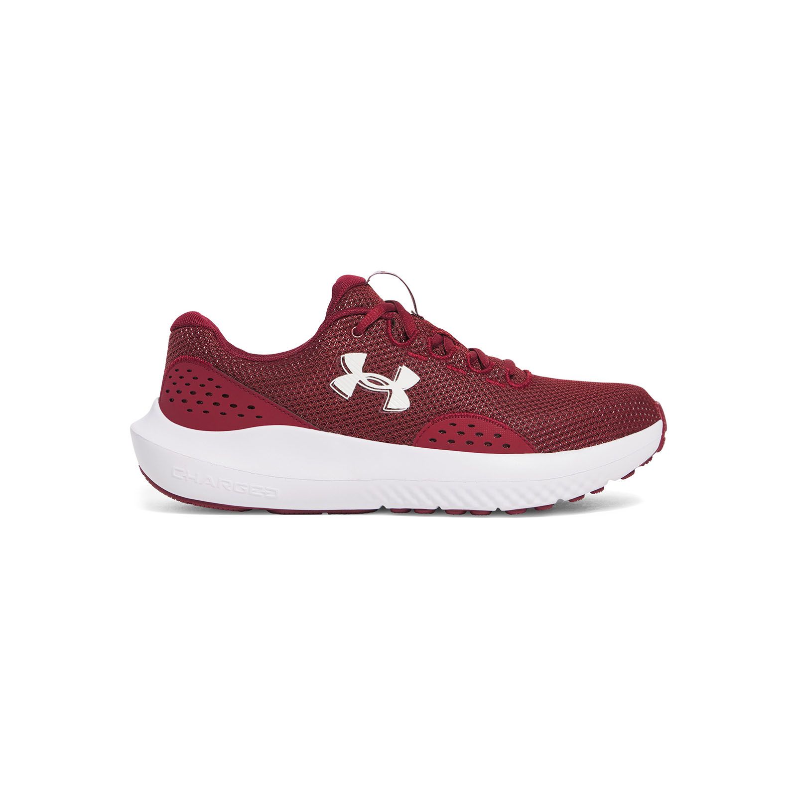 Zapatillas de running Under Armour Surge 4 rojo para hombre